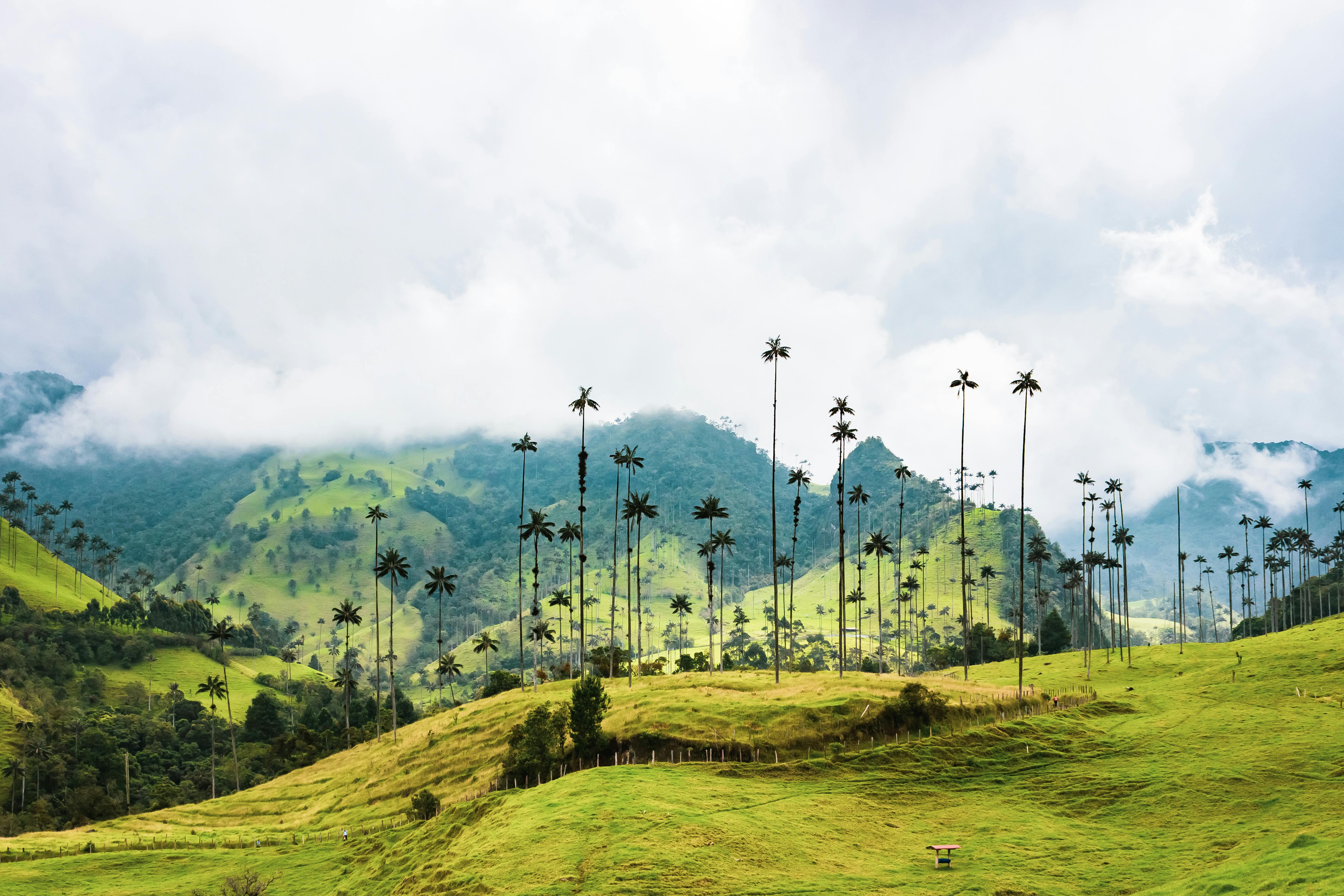 Colombie, voyage organisé 2025 